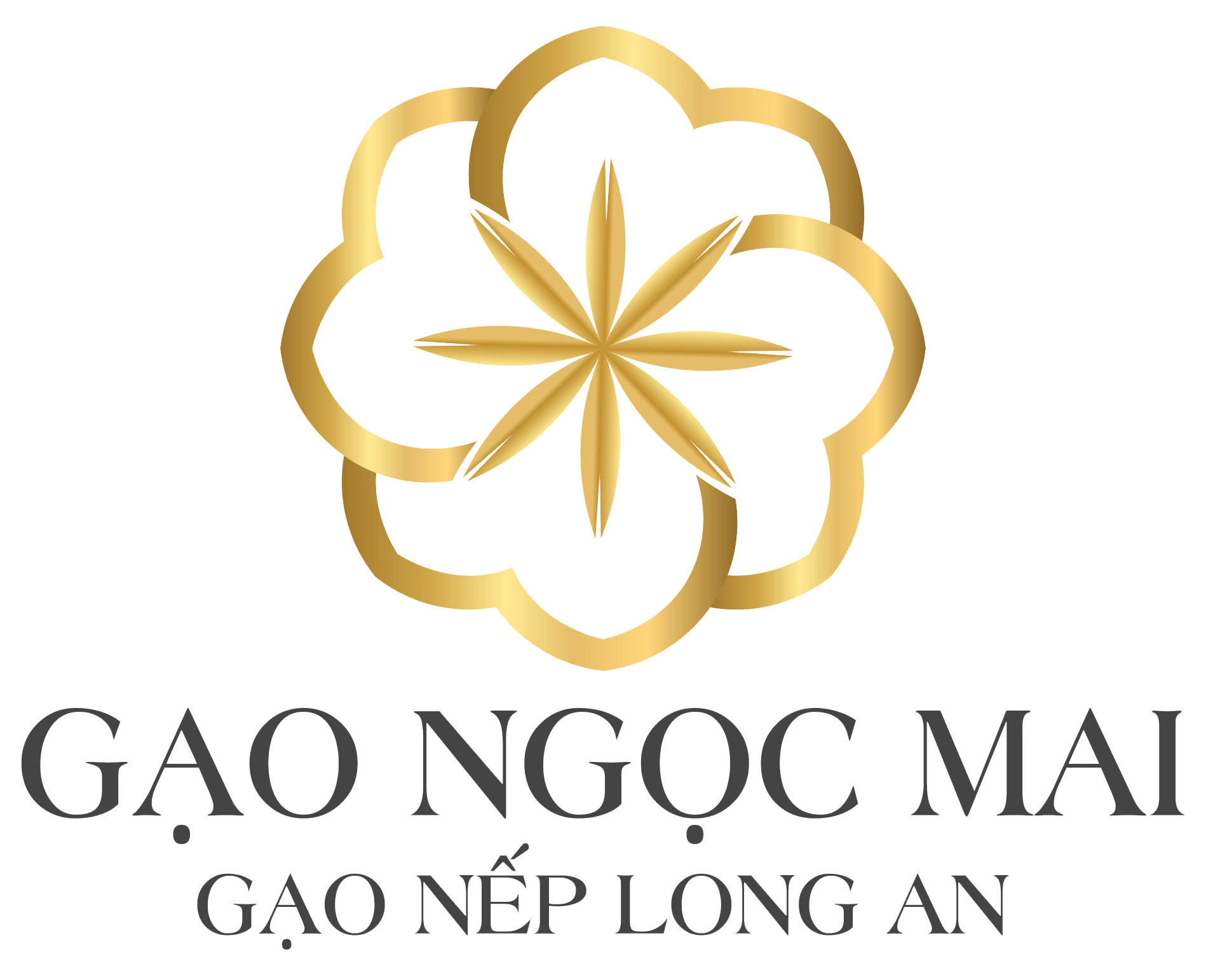 CÔNG TY TNHH MỘT THÀNH VIÊN NGỌC MAI