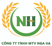 CÔNG TY TNHH MỘT THÀNH VIÊN NGA HẠ