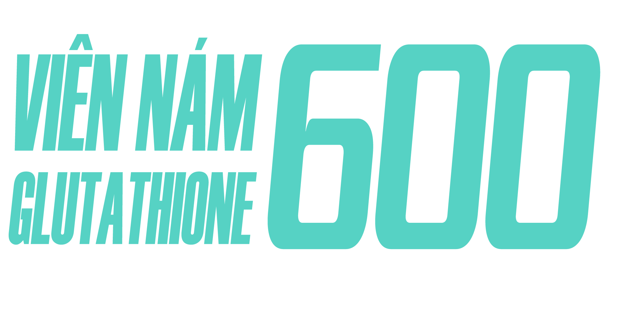 HỘ KINH DOANH CHAHA VIỆT NAM